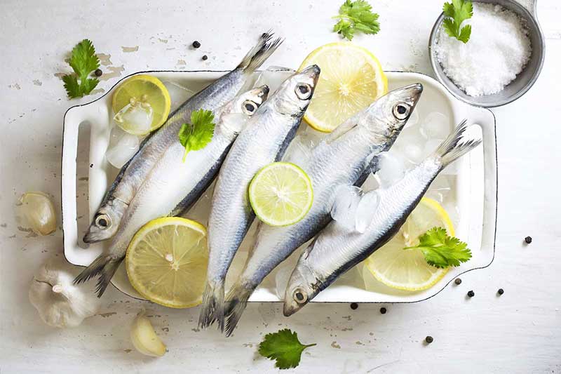 اهمیت مصرف ماهی برای سالمندان