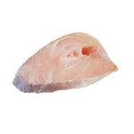 خرید استیک ماهی شوریده