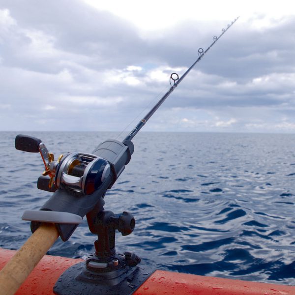 deep-sea-fishing-97-600x600.jpg