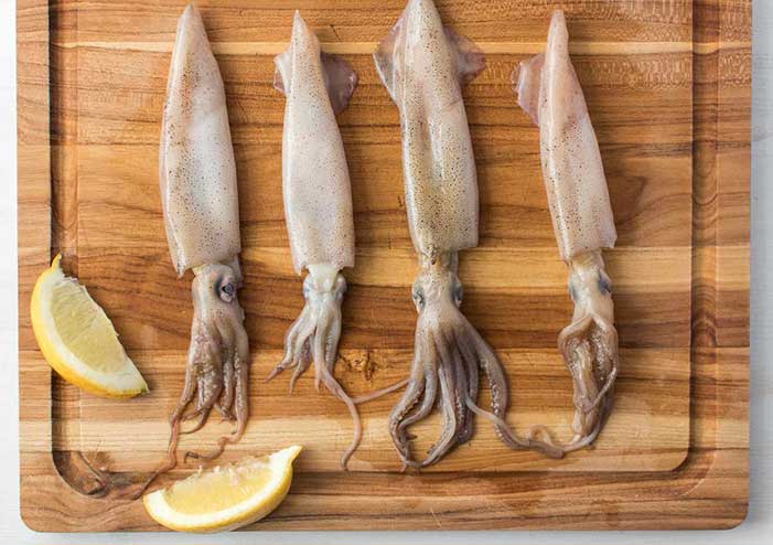 فروش عمده ماهی مرکب یا اسکوئید