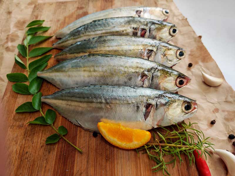 فروش عمده ماهی طلال