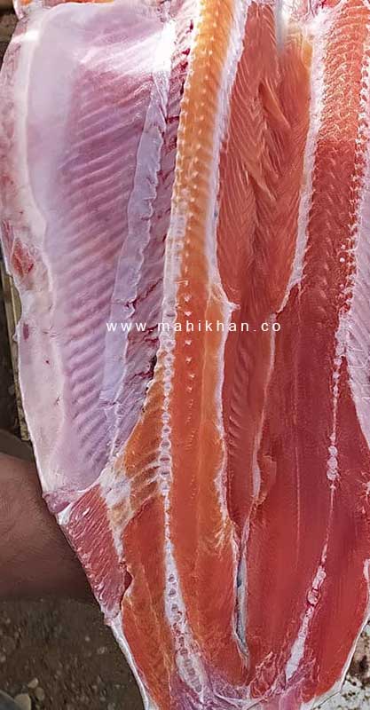 خواص ماهی سالمون برای کبد چرب