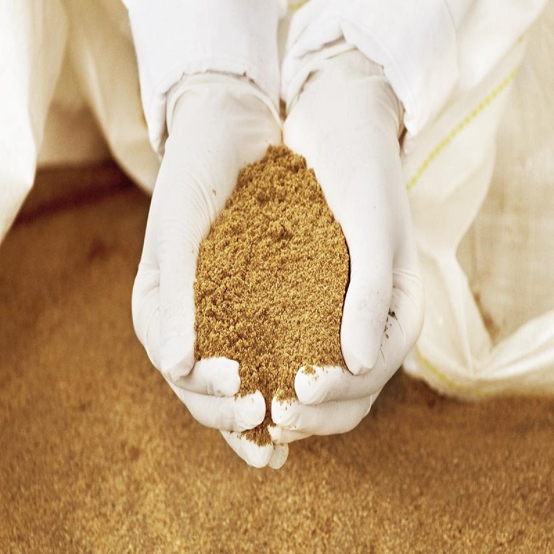 پودر ماهی