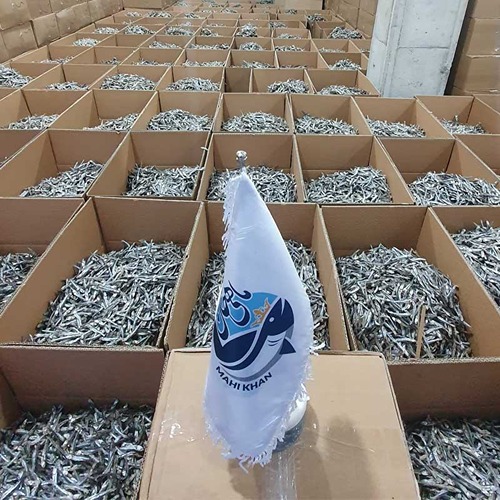 فروش عمده پودر ماهی متو
