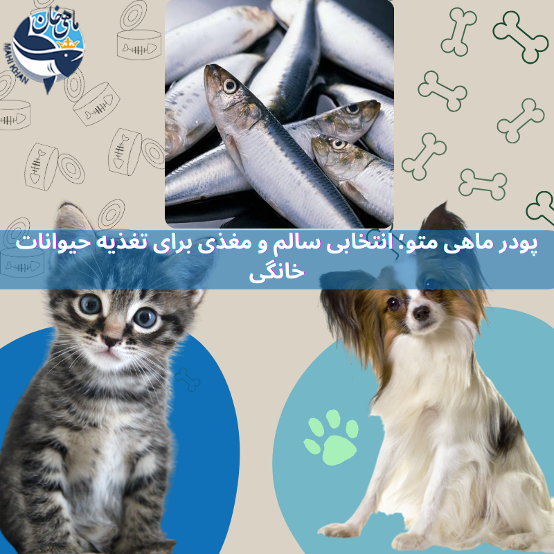 پودر ماهی متو