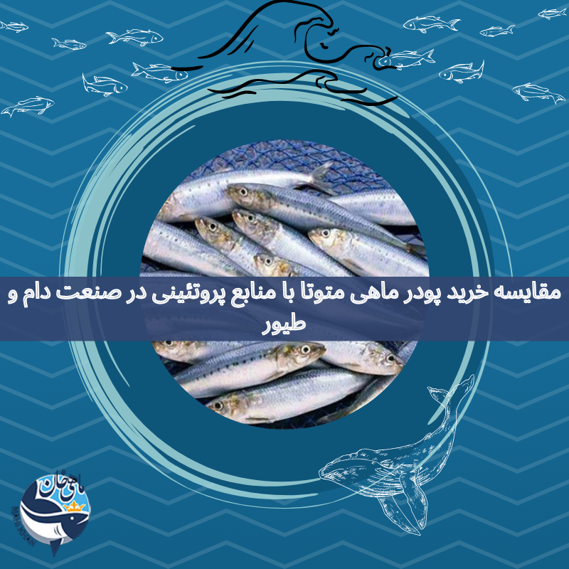 خرید پودر ماهی متوتا