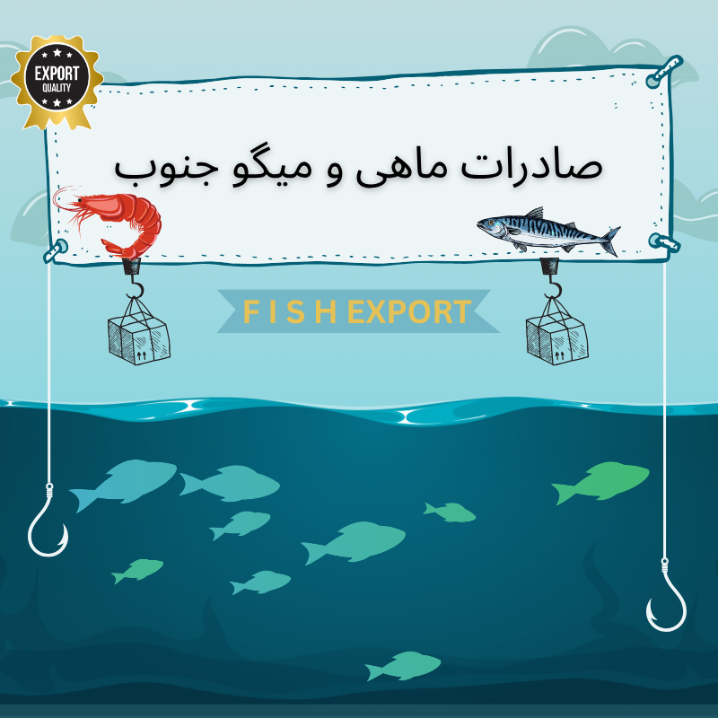 صادرات ماهی و میگو جنوب