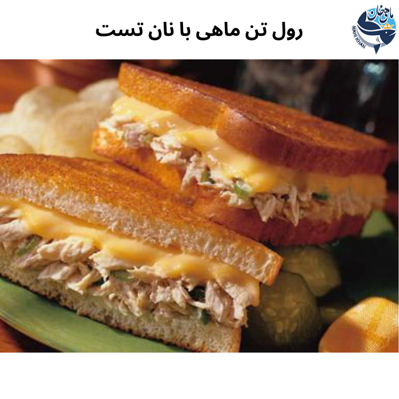 تن ماهی جنوب