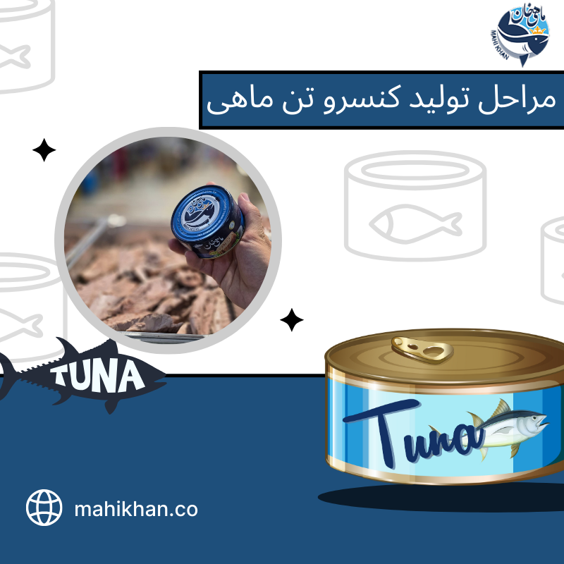 کنسرو تن ماهی