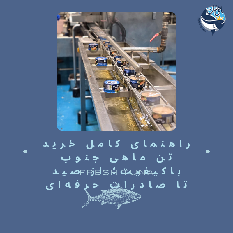 خرید تن ماهی جنوب