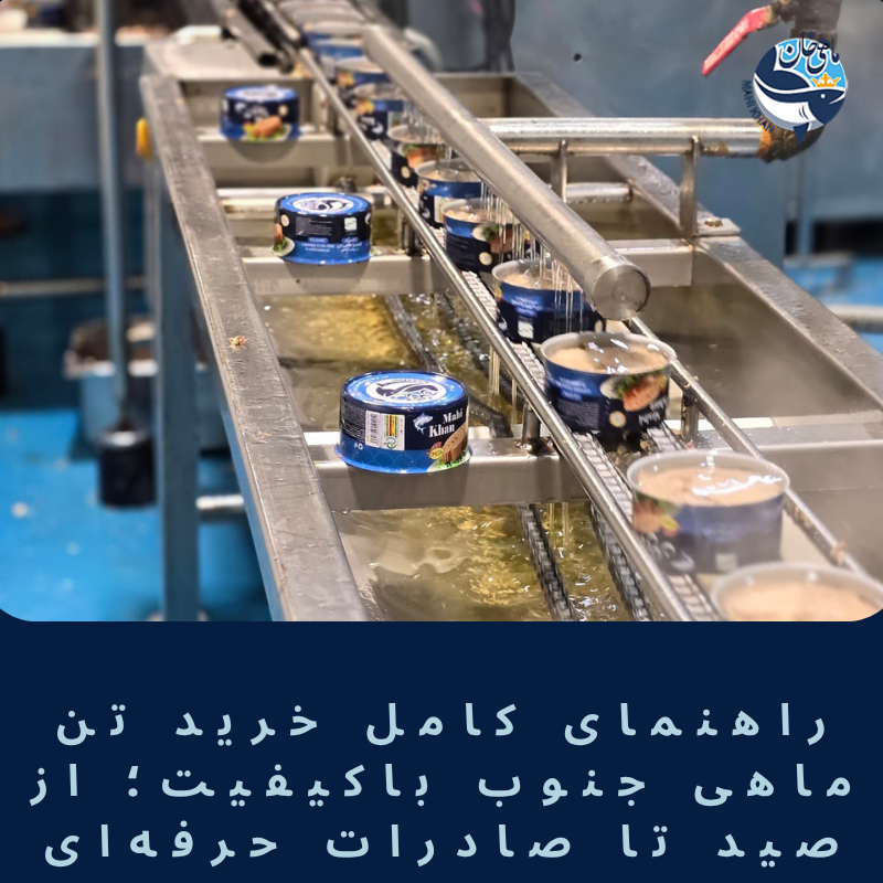خرید تن ماهی جنوب
