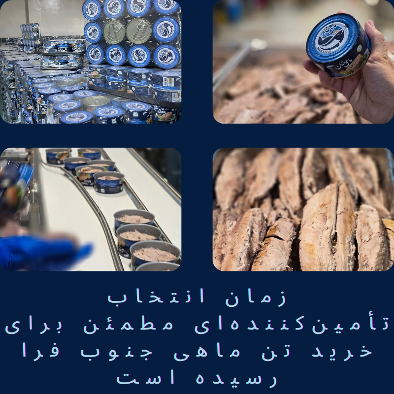 خرید تن ماهی جنوب