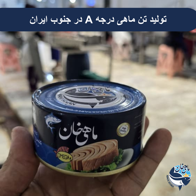 کنسرو تن ماهی جنوب