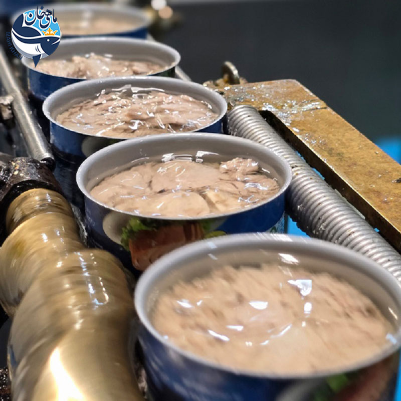 بهترین-تن-ماهی