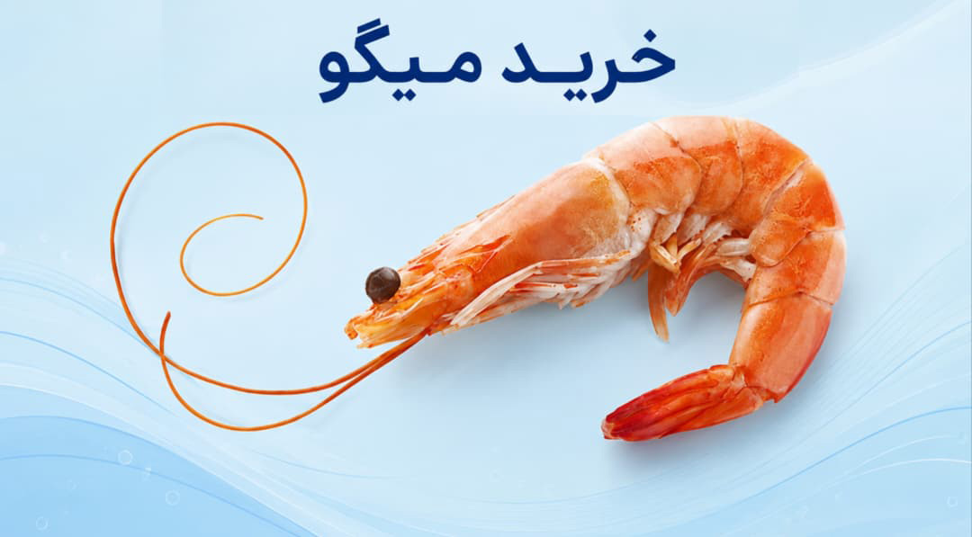 خرید میگو